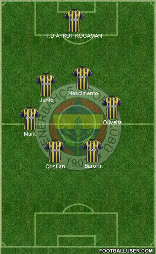 Fenerbahçe SK Formation 2012