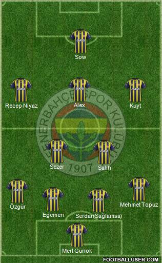 Fenerbahçe SK Formation 2012