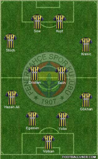 Fenerbahçe SK Formation 2012