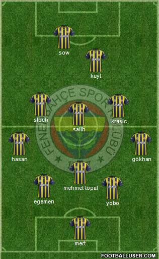 Fenerbahçe SK Formation 2012