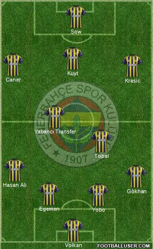 Fenerbahçe SK Formation 2012