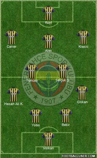 Fenerbahçe SK Formation 2012