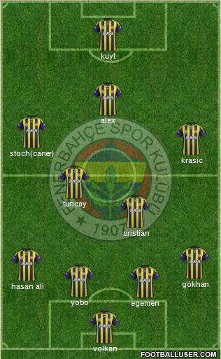 Fenerbahçe SK Formation 2012