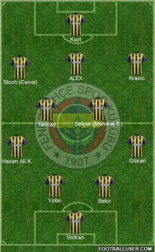 Fenerbahçe SK Formation 2012