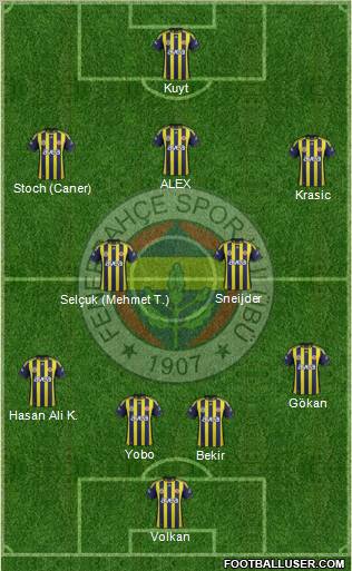 Fenerbahçe SK Formation 2012
