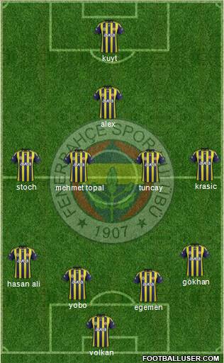 Fenerbahçe SK Formation 2012