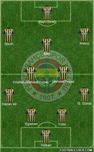 Fenerbahçe SK Formation 2012