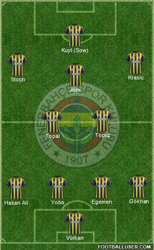 Fenerbahçe SK Formation 2012