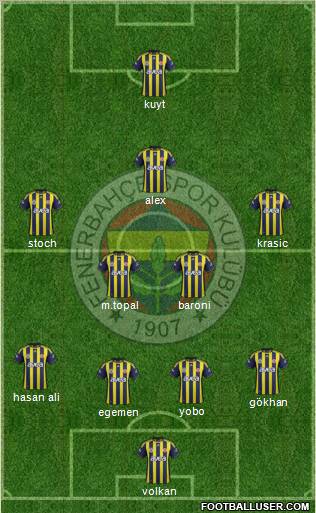 Fenerbahçe SK Formation 2012
