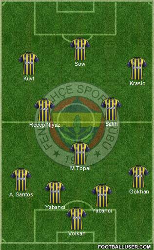 Fenerbahçe SK Formation 2012