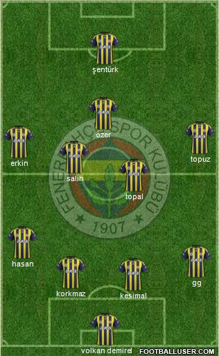 Fenerbahçe SK Formation 2012