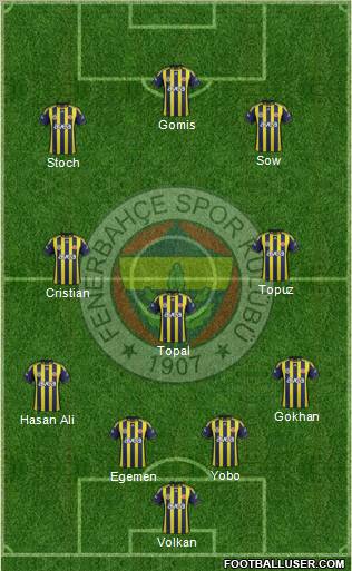 Fenerbahçe SK Formation 2012