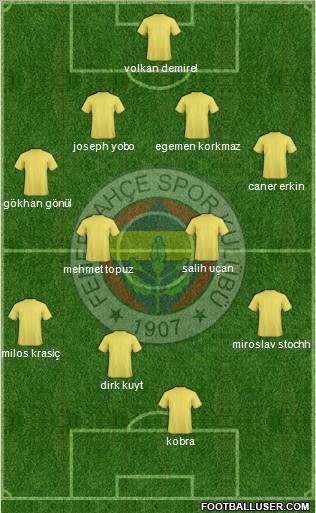 Fenerbahçe SK Formation 2012