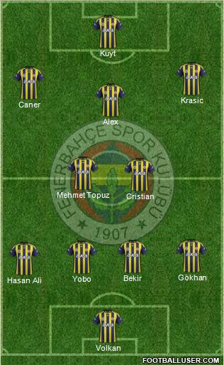 Fenerbahçe SK Formation 2012