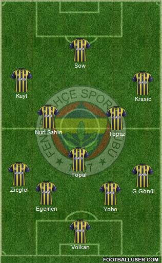 Fenerbahçe SK Formation 2012