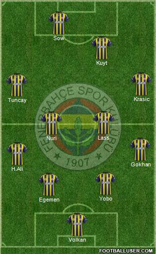 Fenerbahçe SK Formation 2012