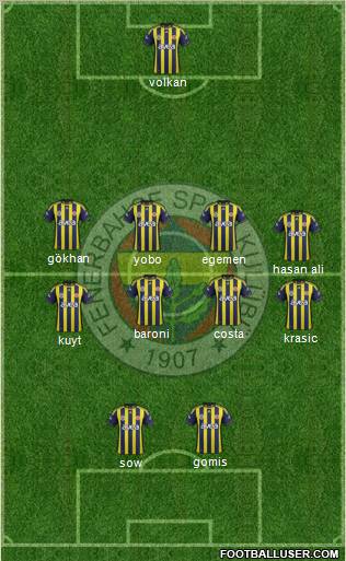 Fenerbahçe SK Formation 2012