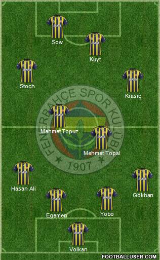 Fenerbahçe SK Formation 2012