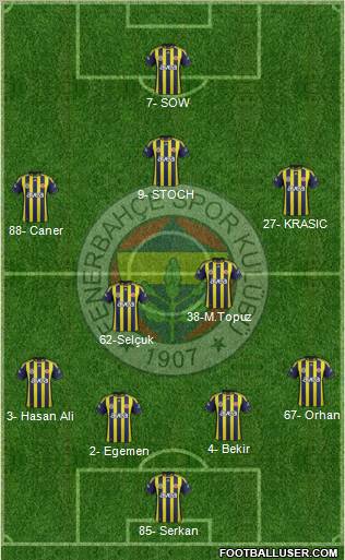 Fenerbahçe SK Formation 2012