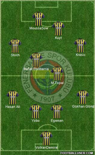 Fenerbahçe SK Formation 2012