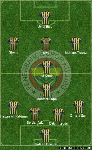 Fenerbahçe SK Formation 2012