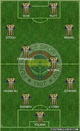 Fenerbahçe SK Formation 2012