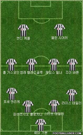 Newcastle United Formation 2012