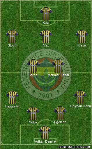 Fenerbahçe SK Formation 2012
