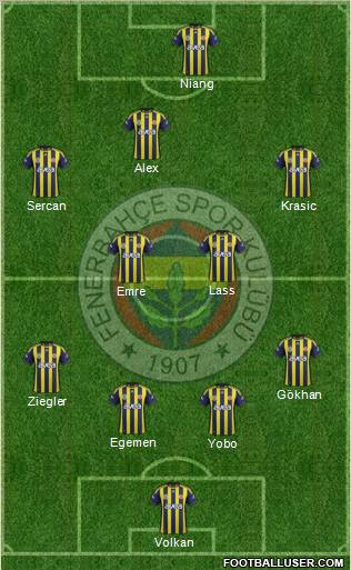 Fenerbahçe SK Formation 2012
