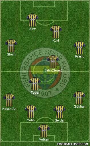 Fenerbahçe SK Formation 2012