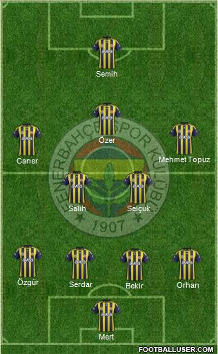 Fenerbahçe SK Formation 2012