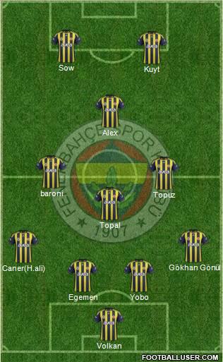 Fenerbahçe SK Formation 2012