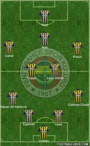 Fenerbahçe SK Formation 2012