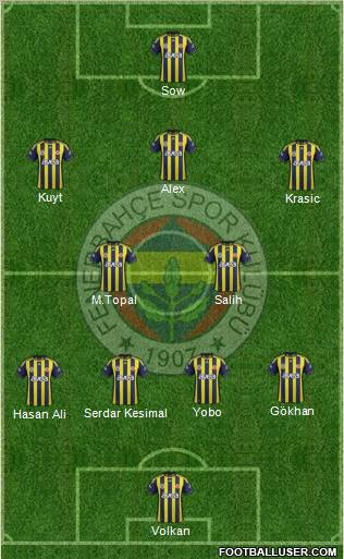 Fenerbahçe SK Formation 2012