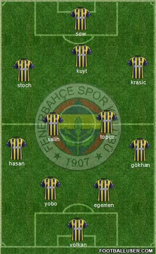 Fenerbahçe SK Formation 2012