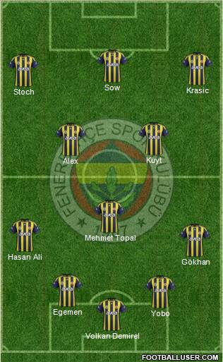 Fenerbahçe SK Formation 2012