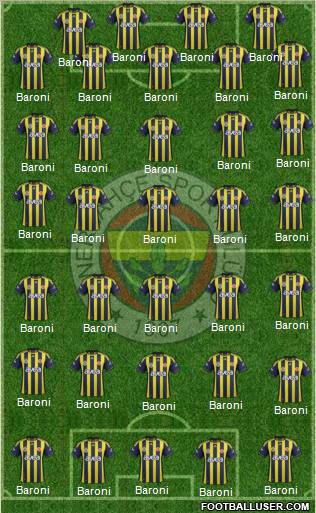 Fenerbahçe SK Formation 2012
