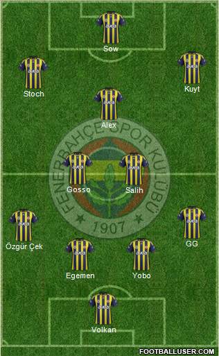 Fenerbahçe SK Formation 2012