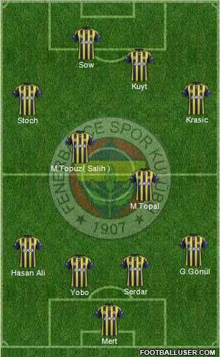 Fenerbahçe SK Formation 2012