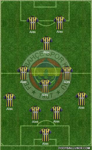 Fenerbahçe SK Formation 2012