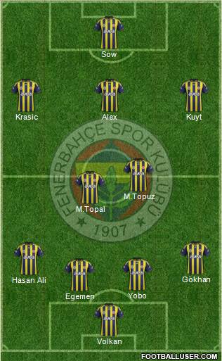 Fenerbahçe SK Formation 2012
