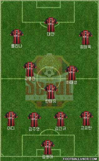 FC Seoul Formation 2012
