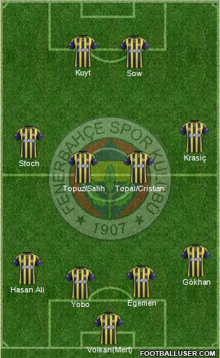 Fenerbahçe SK Formation 2012