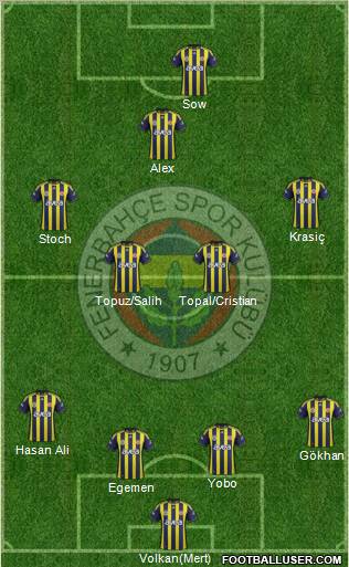 Fenerbahçe SK Formation 2012