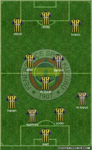 Fenerbahçe SK Formation 2012