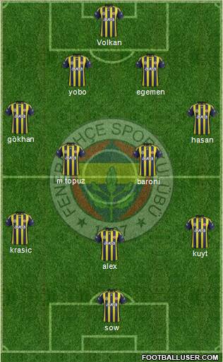 Fenerbahçe SK Formation 2012