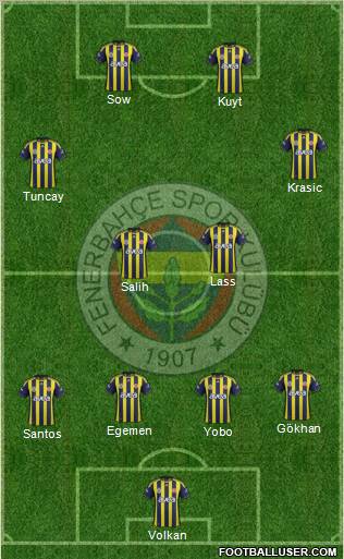 Fenerbahçe SK Formation 2012
