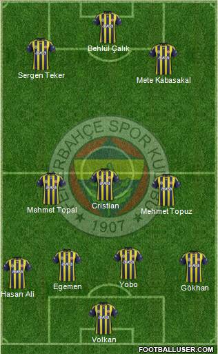 Fenerbahçe SK Formation 2012