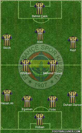 Fenerbahçe SK Formation 2012