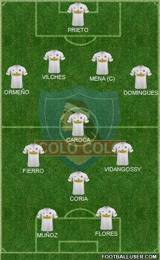 CSD Colo Colo Formation 2012